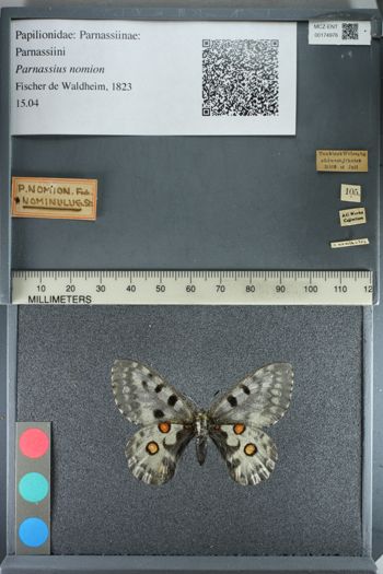 Media type: image;   Entomology 174976